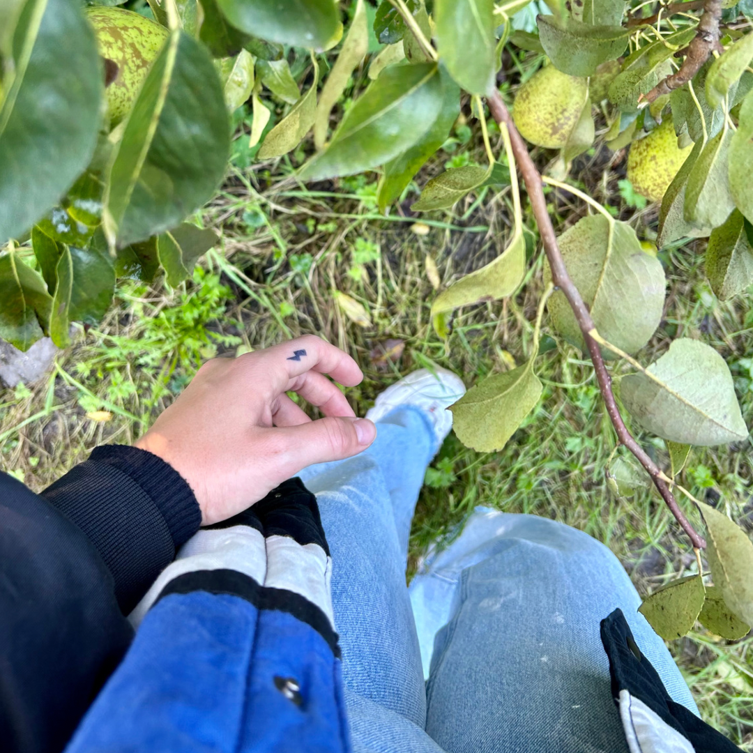 Tymczasowa błyskawica tatuażowa